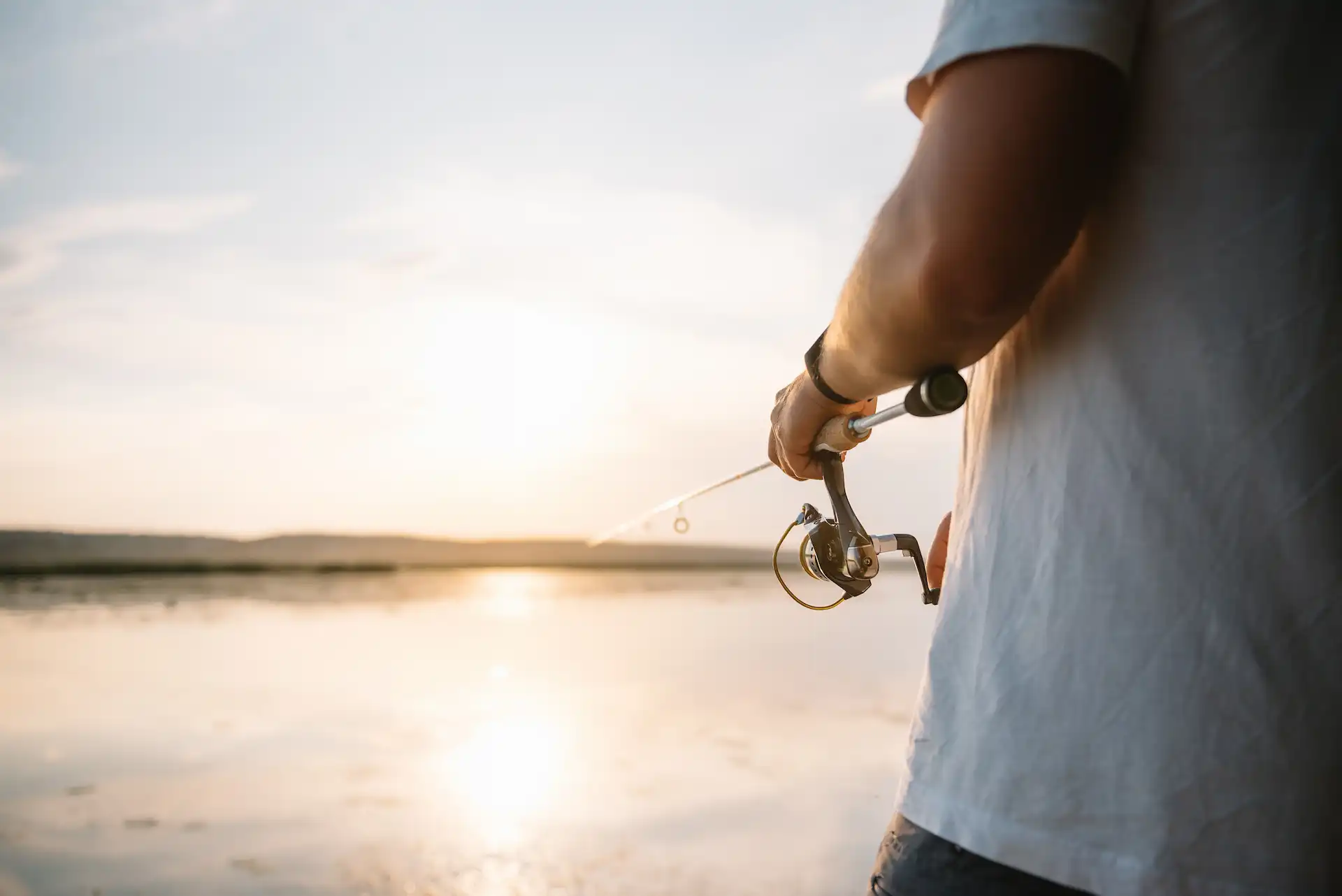 Así nació Innovamar Tech, la empresa detrás de TrackFish